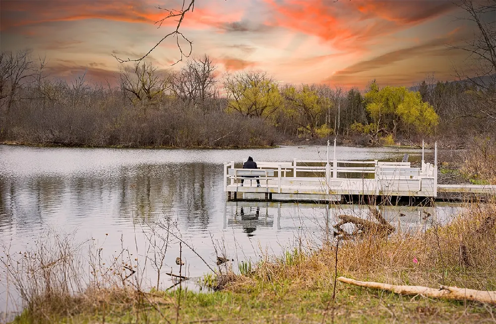 family-office-family-work-money-services