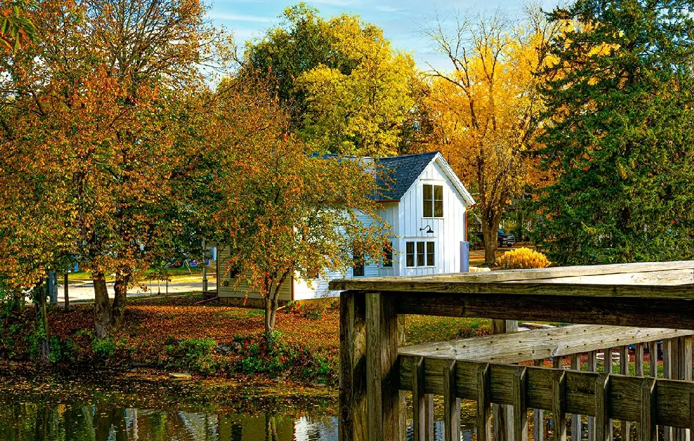 family-offices-work-and-leadership-services